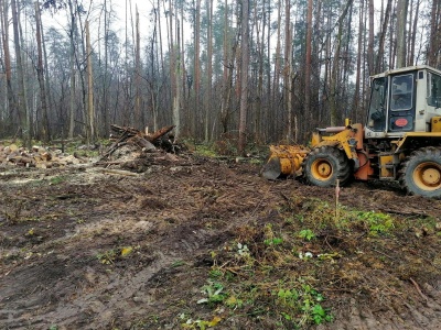 Дорога к поликлинике - 6.jpg